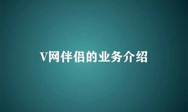 V网伴侣的业务介绍