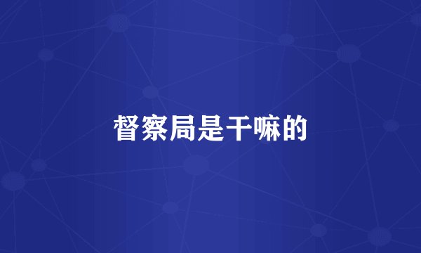 督察局是干嘛的