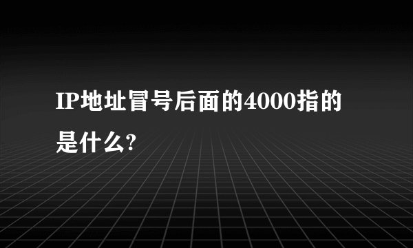 IP地址冒号后面的4000指的是什么?