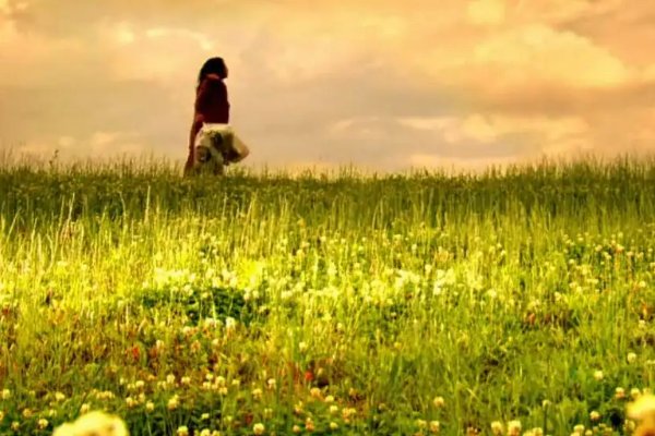 催泪电影排行榜前十名(从头哭到尾)