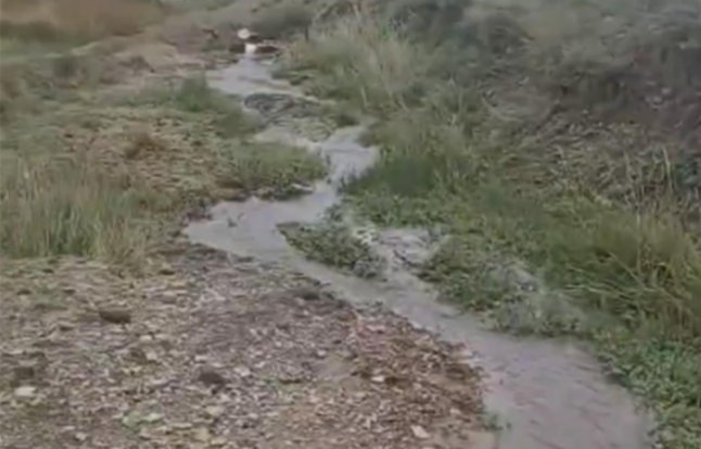 引发关注！宁夏一地突现泉眼，究竟是何原因？