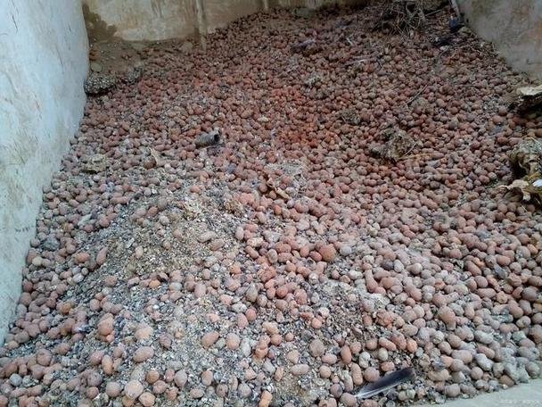 填充陶粒价格多少一方合适