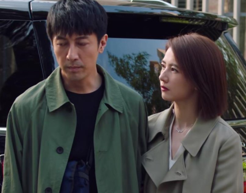 《完美伴侣》电视剧在哪个台播出?