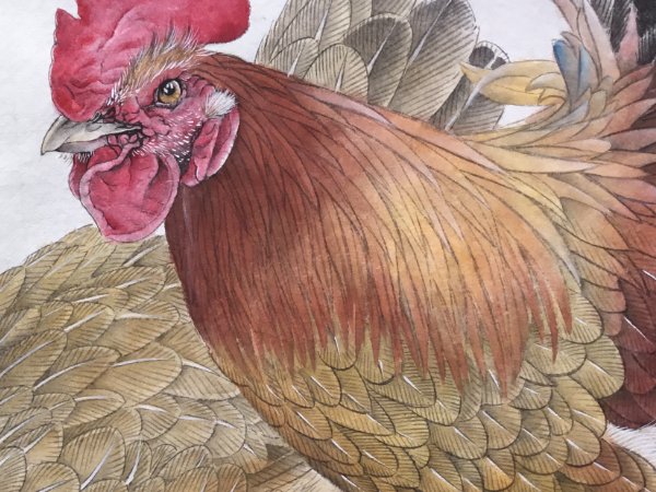 金马玉堂是十二生肖哪个动物