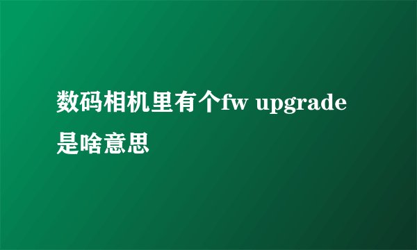 数码相机里有个fw upgrade是啥意思