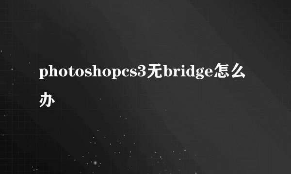 photoshopcs3无bridge怎么办