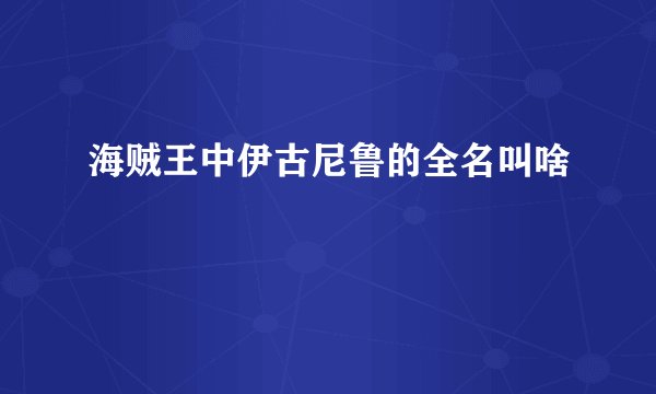海贼王中伊古尼鲁的全名叫啥