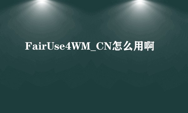 FairUse4WM_CN怎么用啊