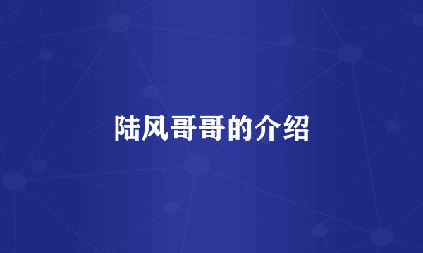 陆风哥哥的介绍