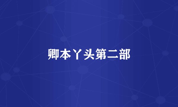 卿本丫头第二部