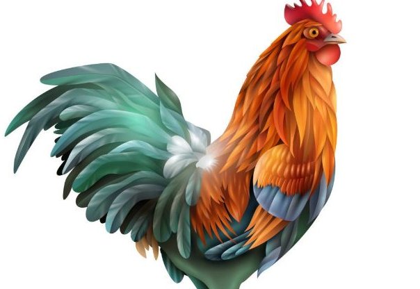 刻鹄不成打一个生肖