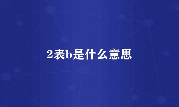 2表b是什么意思