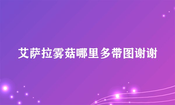 艾萨拉雾菇哪里多带图谢谢