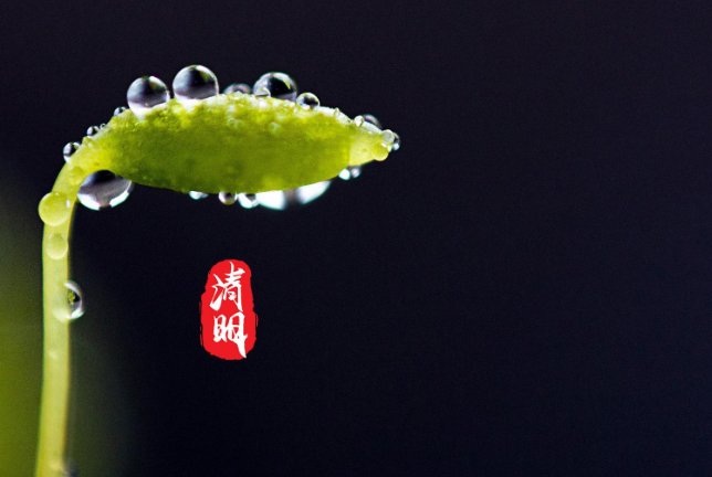 清明剪头发是什么含义