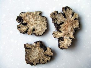 藁草是什么植物