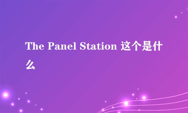 The Panel Station 这个是什么