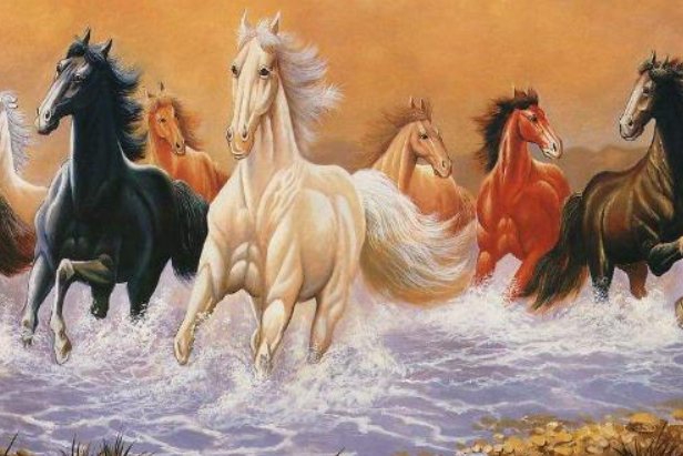 短小精悍代表什么生肖