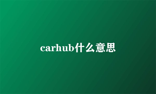 carhub什么意思