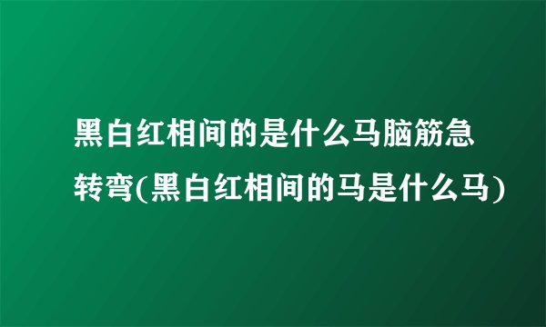 黑白红相间的是什么马脑筋急转弯(黑白红相间的马是什么马)