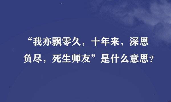 “我亦飘零久，十年来，深恩负尽，死生师友”是什么意思？