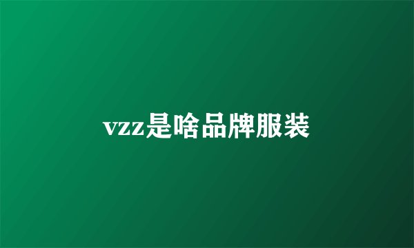 vzz是啥品牌服装