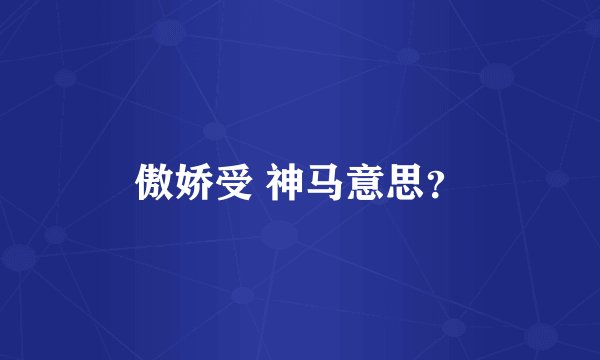 傲娇受 神马意思？