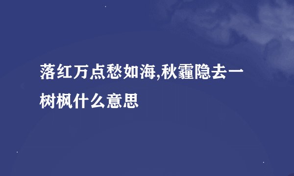 落红万点愁如海,秋霾隐去一树枫什么意思