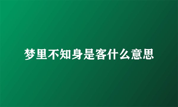 梦里不知身是客什么意思