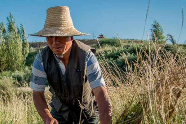 农民英语单词怎么读