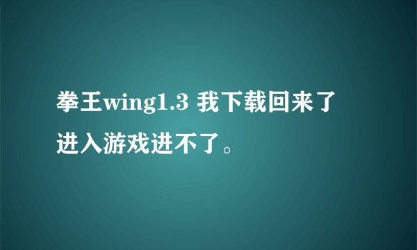 拳王wing1.3 我下载回来了 进入游戏进不了。