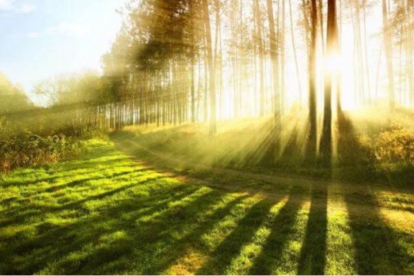 内蒙古高水平开放的区位优势体现在哪里