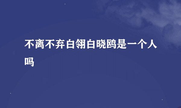 不离不弃白翎白晓鸥是一个人吗