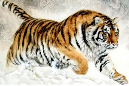 出乖露丑的动物有哪些生肖