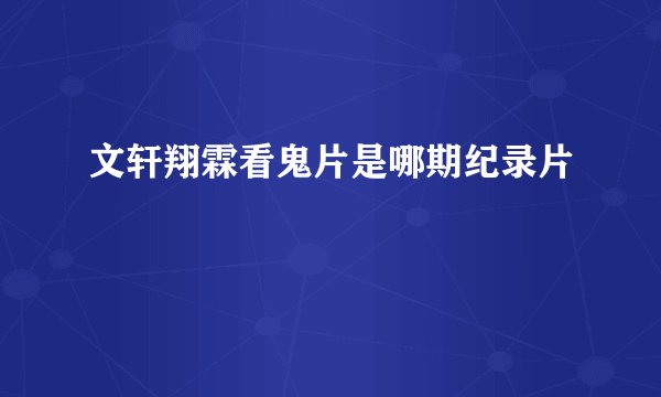 文轩翔霖看鬼片是哪期纪录片