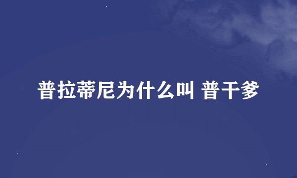 普拉蒂尼为什么叫 普干爹