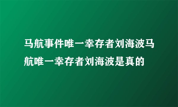 马航事件唯一幸存者刘海波马航唯一幸存者刘海波是真的