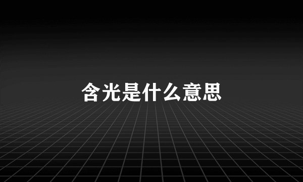 含光是什么意思