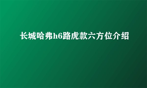 长城哈弗h6路虎款六方位介绍