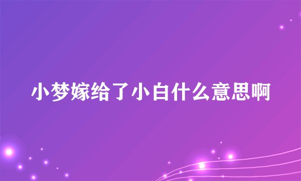 小梦嫁给了小白什么意思啊