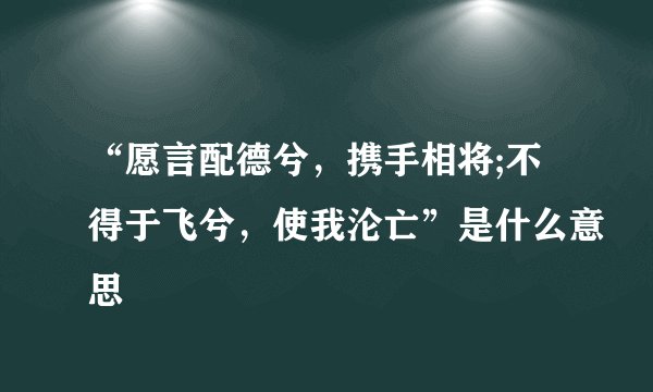 “愿言配德兮，携手相将;不得于飞兮，使我沦亡”是什么意思