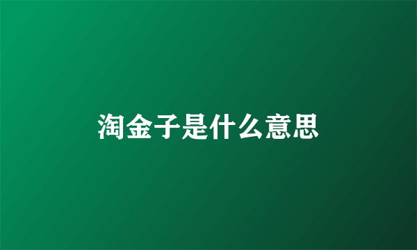 淘金子是什么意思