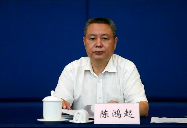 陈鸿起的个人履历