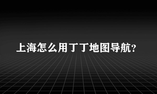 上海怎么用丁丁地图导航？