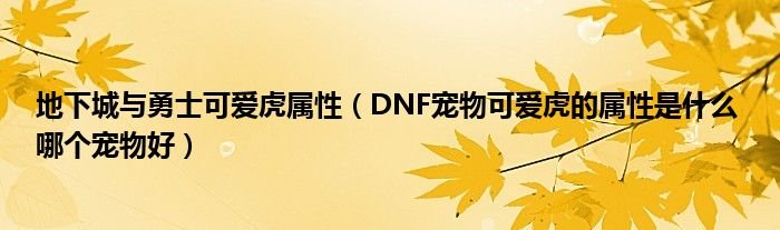 地下城与勇士可爱虎属性DNF宠物可爱虎的属性是什么哪个宠物好