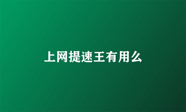 上网提速王有用么