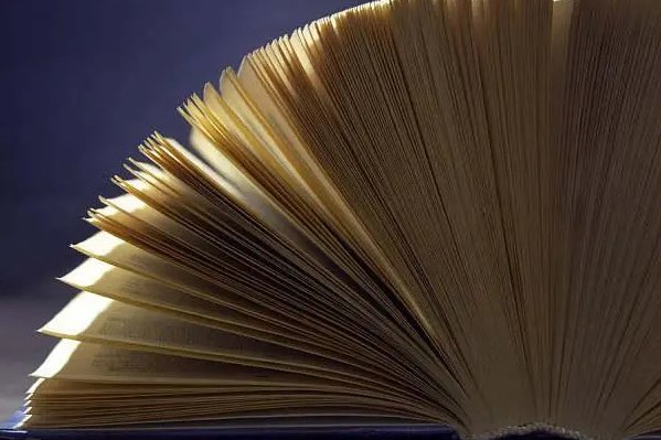 照样子写词语露着雪白的肚皮