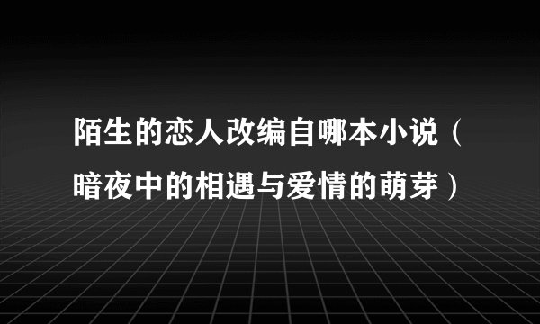陌生的恋人改编自哪本小说（暗夜中的相遇与爱情的萌芽）