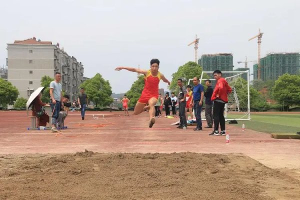 男子跳远世界纪录是多少