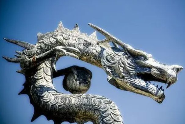 独霸天下的动物打一生肖