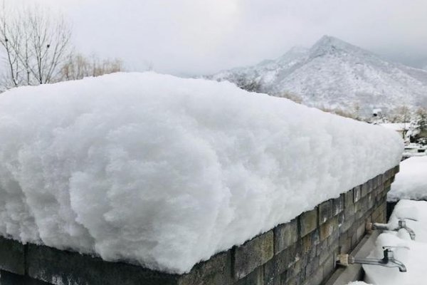 冻煞的意思解释